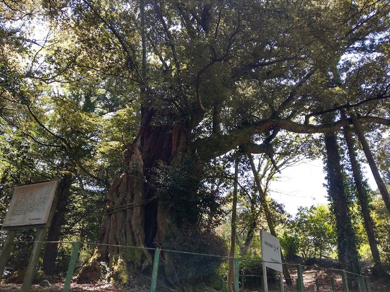 山城八幡神社