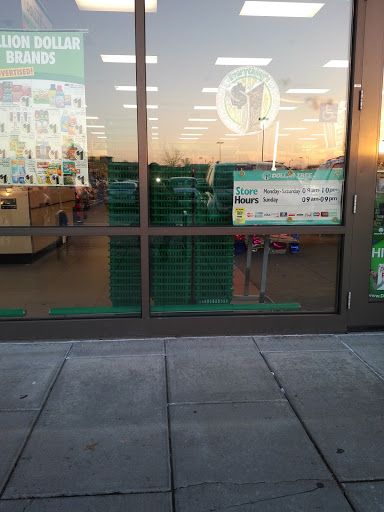 Dollar Store «Dollar Tree», reviews and photos, 14002 Hoard Dr #400, Noblesville, IN 46060, USA