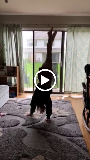 Gymnastics Center «Sunburst Gymnastics», reviews and photos, 565 Rahway Ave, Union, NJ 07083, USA