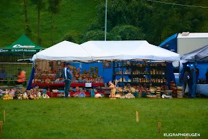 Festivalul Cascavelei Valea Doftanei. image