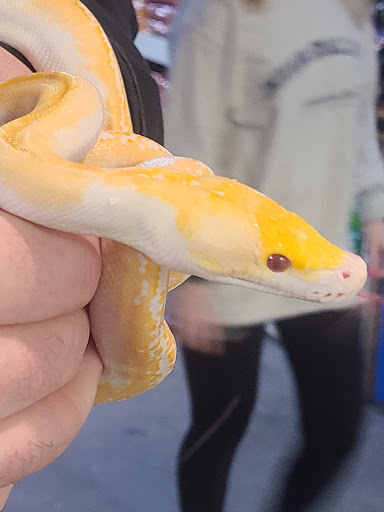 Pet Supply Store «Buckles Feed Depot & Pet Supply», reviews and photos, 220 S 4th St, Lafayette, IN 47901, USA