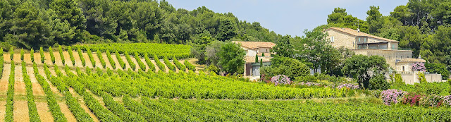 Agence Devier Immobilier - Montpellier