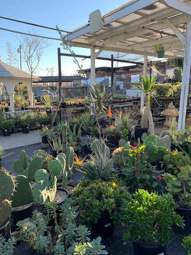 Plant Nursery «San Gabriel Nursery & Florist», reviews and photos, 632 S San Gabriel Blvd, San Gabriel, CA 91776, USA