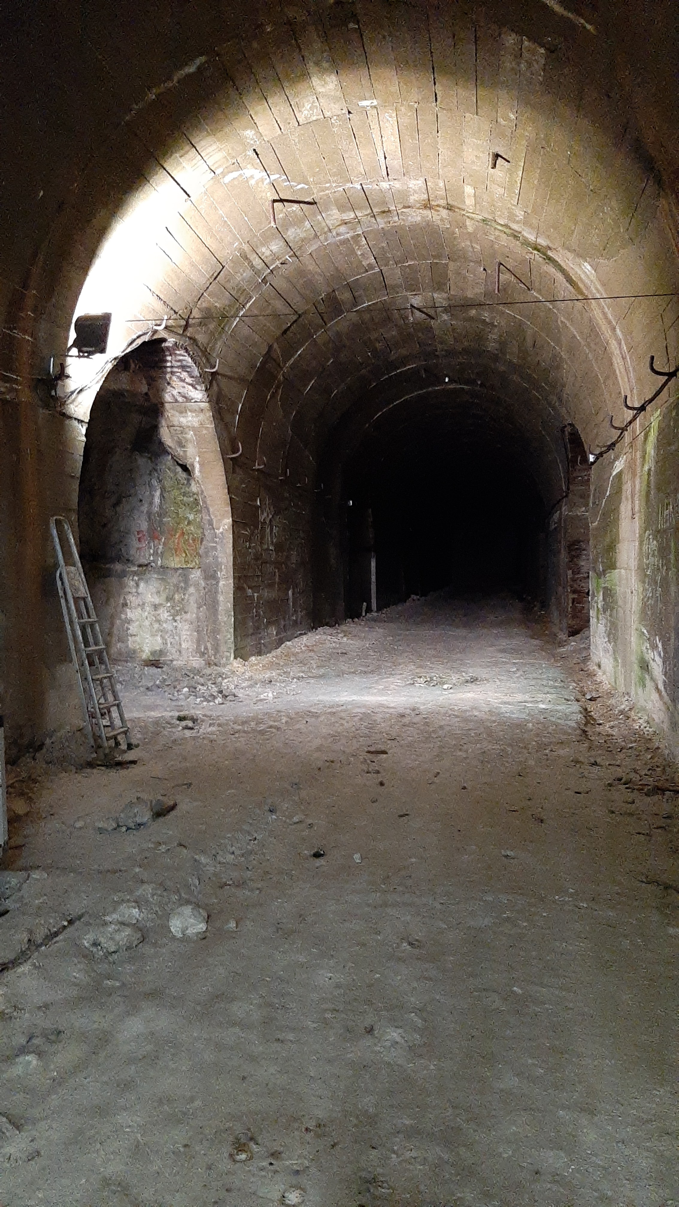 Photo n° 39 de l'avis de Raymond.e fait le 30/06/2021 à 17:57