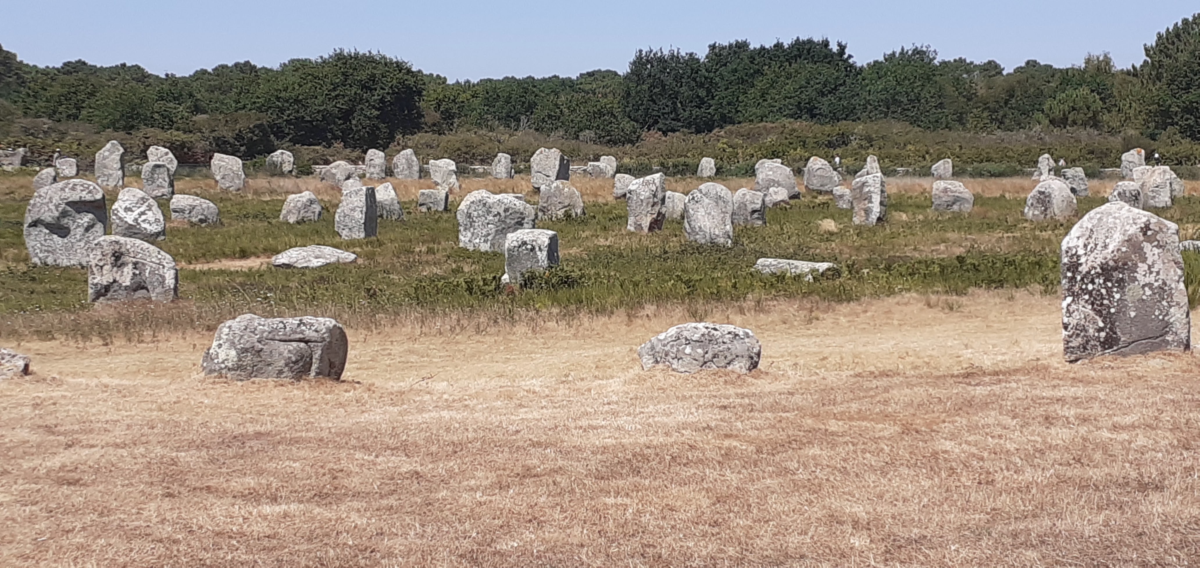 Photo n° 2 de l'avis de nad.a fait le 16/08/2022 à 13:29