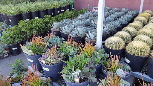 Home Improvement Store «The Home Depot», reviews and photos, 34249 Monterey Ave, Rancho Mirage, CA 92270, USA