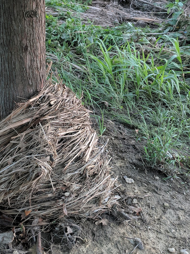 Park «Liberty Park», reviews and photos, 5825 Holiday Ln, North Richland Hills, TX 76180, USA