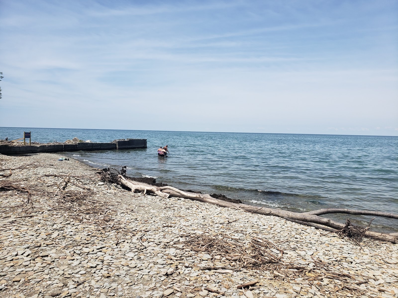 Avonia Beach'in fotoğrafı vahşi alan