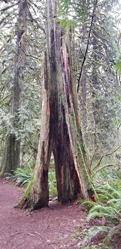 Forestry Service «Hopkins Demonstration Forest», reviews and photos, 16750 S Brockway Rd, Oregon City, OR 97045, USA