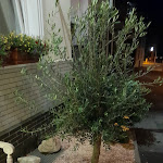 Photo n°5 de l'avis de Christian.e fait le 12/08/2023 à 09:21 sur le  Pension Helma à Bad Neuenahr-Ahrweiler