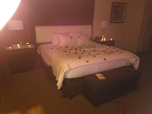 Hotel «Ameristar Casino Hotel East Chicago», reviews and photos, 777 Aldis Ave, East Chicago, IN 46312, USA