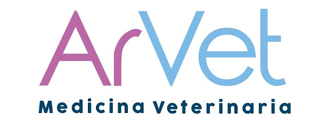 Opiniones de Arvet, Dra Virginia Araya D. en Peñalolén - Veterinario