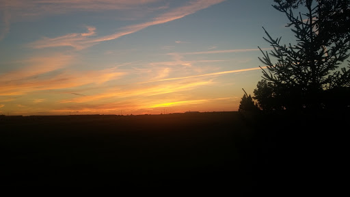 Public Golf Course «Weibring Golf Club», reviews and photos, 800 Gregory St, Normal, IL 61761, USA