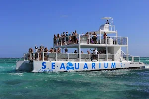 Seaquarium Punta Cana image