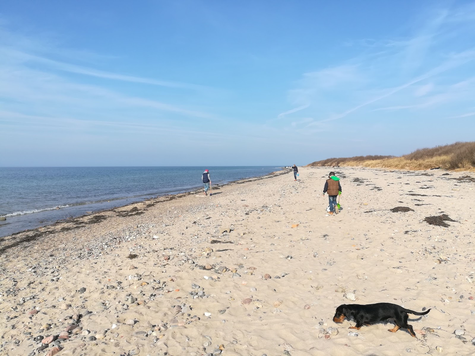 Zdjęcie Strand Kagsdorf położony w naturalnym obszarze