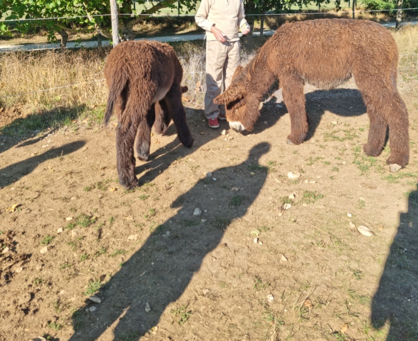 Photo n° 1 de l'avis de Mat.o fait le 20/09/2022 à 21:50