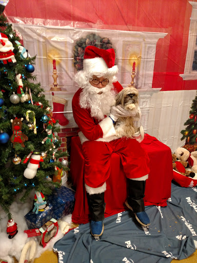 Shopping Mall «Northgate Mall Tullahoma», reviews and photos, 1600 N Jackson St, Tullahoma, TN 37388, USA