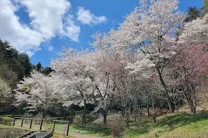 Yamagatanarogen Park image