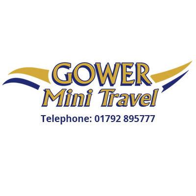 Reviews of Gower Mini Travel in Swansea - Travel Agency