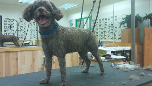 Pet Supply Store «Pet Supplies Plus», reviews and photos, 4751 Hiawatha Ave, Minneapolis, MN 55406, USA