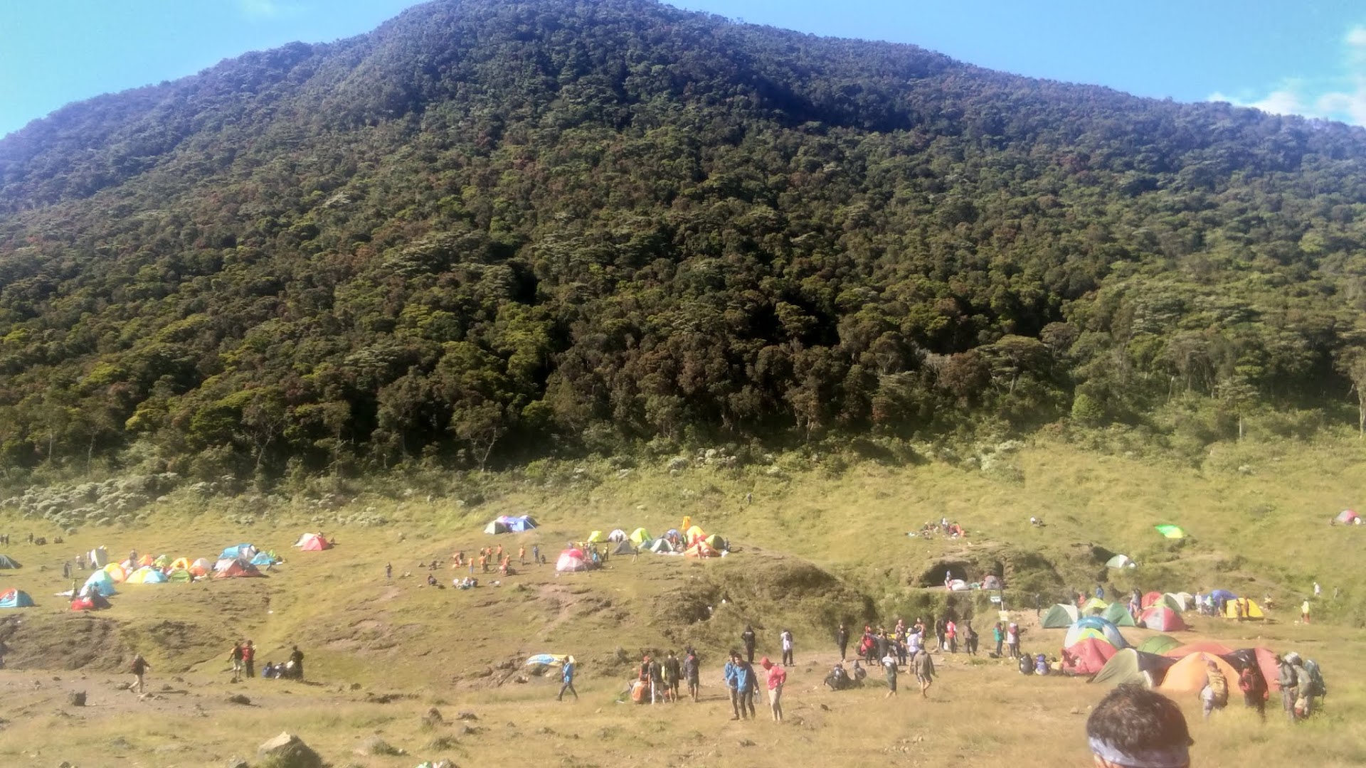 Gambar Alun-alun Suryakencana Gunung Gede Pangrango