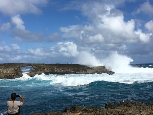 Travel Agency «Hawaiian Travel», reviews and photos, 5005 W Royal Ln #294, Irving, TX 75063, USA