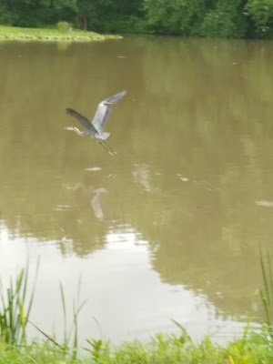 Stewart Park - photo 28