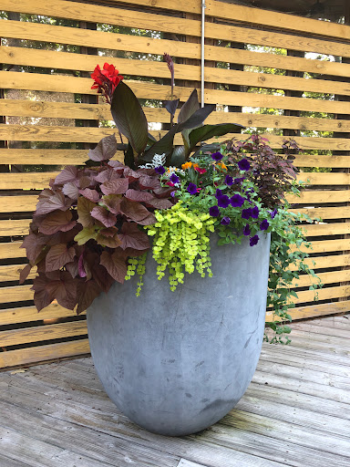 Community Center «Bond Park Community Center», reviews and photos, 801 High House Rd, Cary, NC 27513, USA