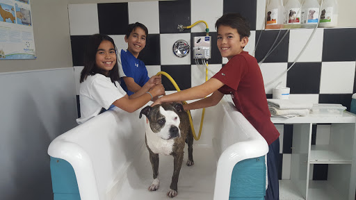 Pet Supply Store «Bark Avenue», reviews and photos, 4781 Granite Dr, Rocklin, CA 95677, USA