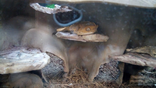 Pet Supply Store «Petco Animal Supplies», reviews and photos, 1215-1309 NJ-33 #1, Hamilton Township, NJ 08690, USA