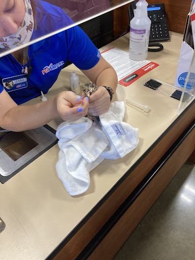 Pet Supply Store «PetSmart», reviews and photos, 15500 Panama City Beach Pkwy #340, Panama City Beach, FL 32413, USA