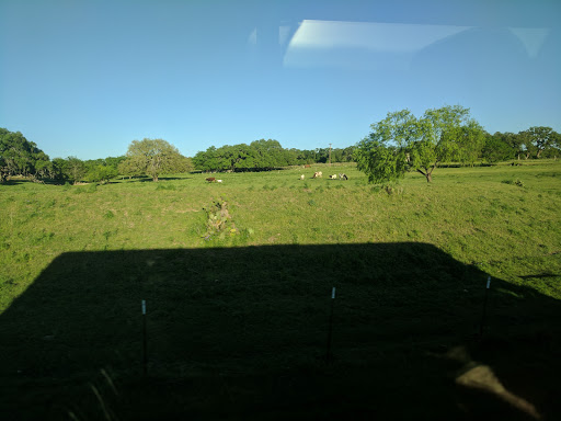 Event Planner «Knibbe Ranch», reviews and photos, 10006 Spring Branch Rd, Spring Branch, TX 78070, USA