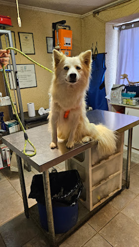 Clínica veterinaria Mimi Vet