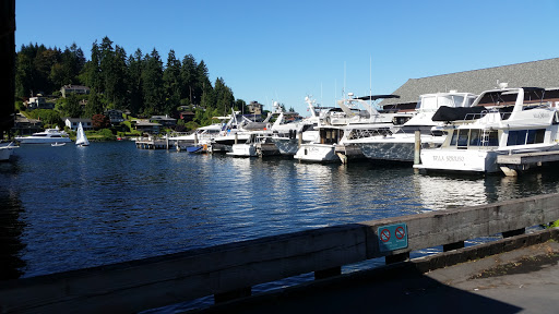 Park «Clyde Beach Park», reviews and photos, 2 92nd Ave NE, Bellevue, WA 98004, USA