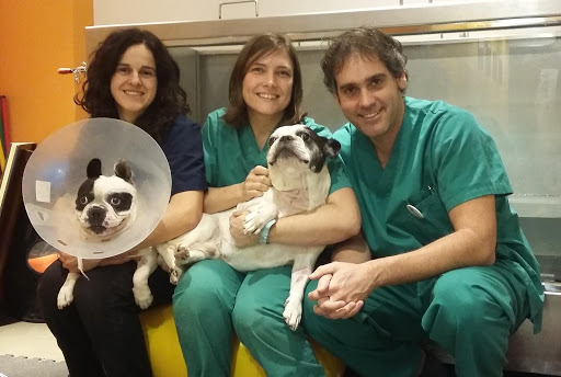 Hospital Veterinario Menes en Gijón