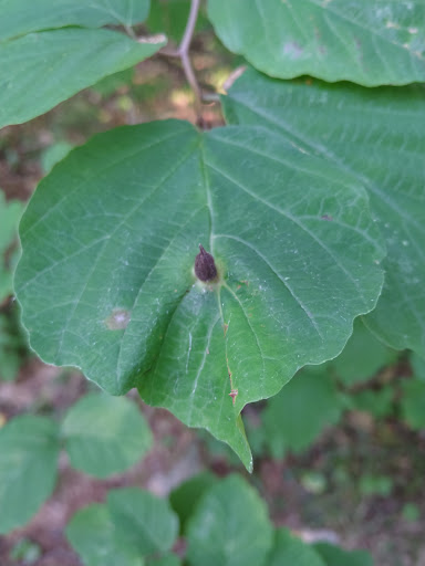 Golf Club «Crystal Lake Golf Club», reviews and photos, 940 N Broadway, Haverhill, MA 01832, USA