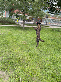 CT State Community College Norwalk - Photo 2 - Car repair in Norwalk, CT, Stamford