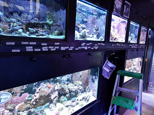 Aquarium «Old Orchard Aquarium», reviews and photos, 9235 Skokie Blvd, Skokie, IL 60077, USA