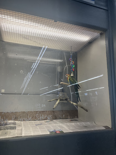 Pet Store «Sierra Fish and Pets», reviews and photos, 601 S Grady Way Suite M, Renton, WA 98057, USA