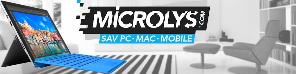 Microlys.com Lyon 69008