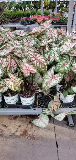 Home Improvement Store «The Home Depot», reviews and photos, 6301 Richfield Pkwy, Richfield, MN 55423, USA