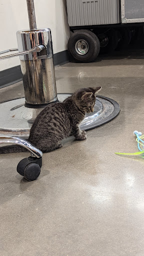 Pet Supply Store «Petco Animal Supplies», reviews and photos, 12444 NW 10th St #301, Yukon, OK 73099, USA