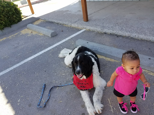 Pet Supply Store «Horse N Hound Feed N Supply», reviews and photos, 991 W Amador Ave, Las Cruces, NM 88005, USA