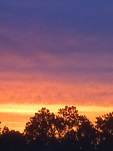 Department Store «Walmart Supercenter», reviews and photos, 3911 Bienville Blvd, Ocean Springs, MS 39564, USA