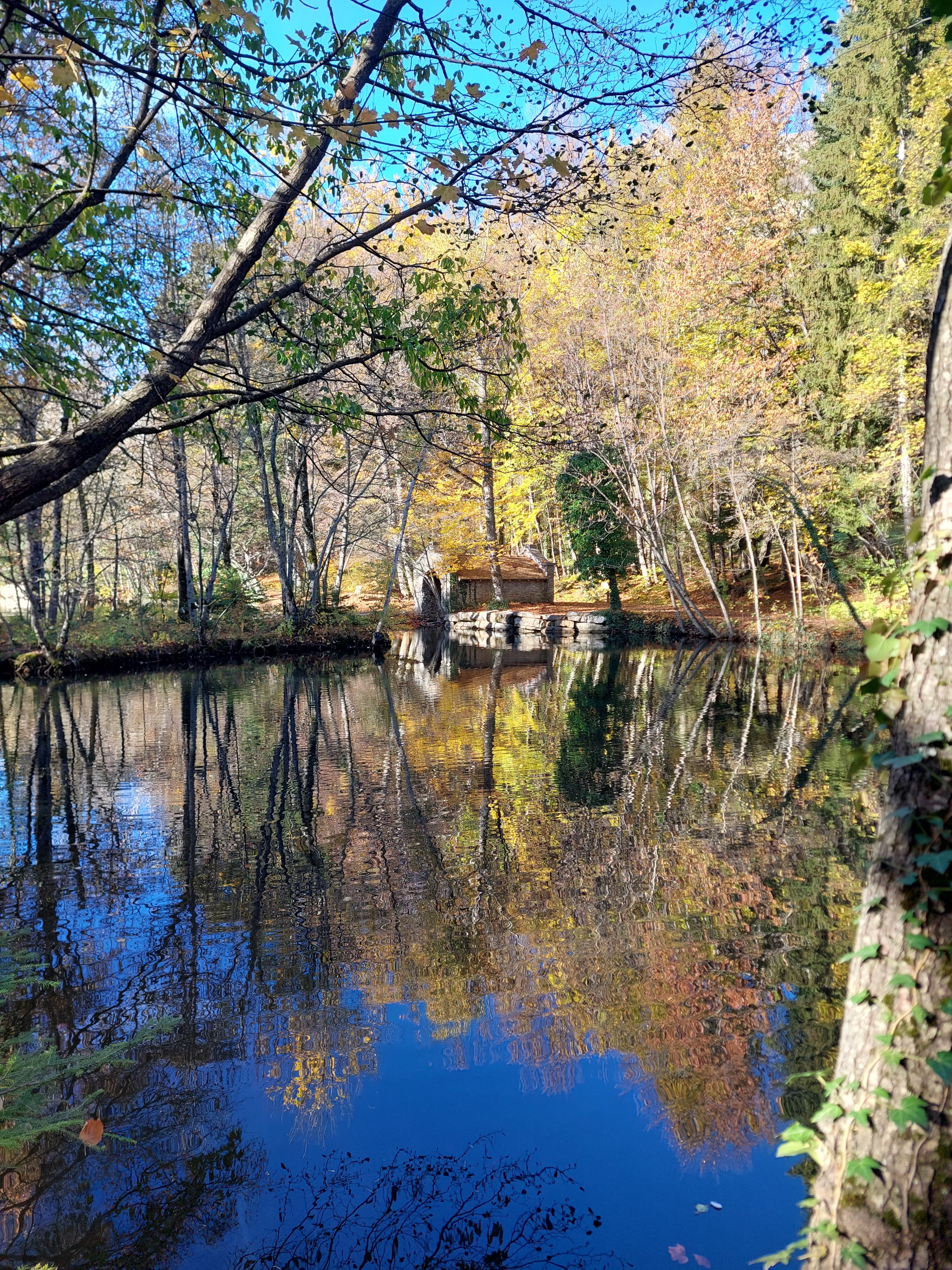 Photo n° 6 de l'avis de Didier.a fait le 18/11/2022 à 16:48
