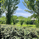 Photo n°2 de l'avis de Riccardo.R fait le 28/06/2023 à 14:44 sur le  Le Cementine à Roncade