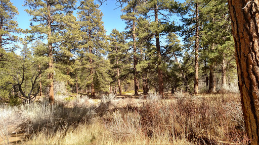 Park «Summit Park», reviews and photos, 4335 Glendale Milford Rd, Blue Ash, OH 45242, USA