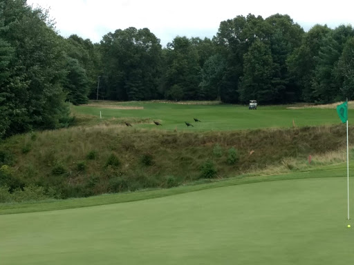 Golf Course «Diamond Springs Golf Course», reviews and photos, 3400 34th St, Hamilton, MI 49419, USA