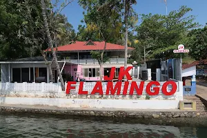 J K Flamingo image