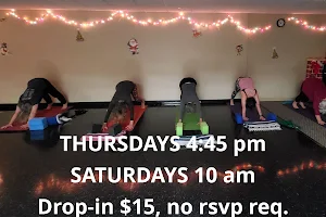 YogaHotDish Yoga Classes North Oaks, Arden Hills, Falcon Heights image